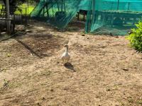  of property in Rustenburg