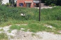  of property in Aston Bay
