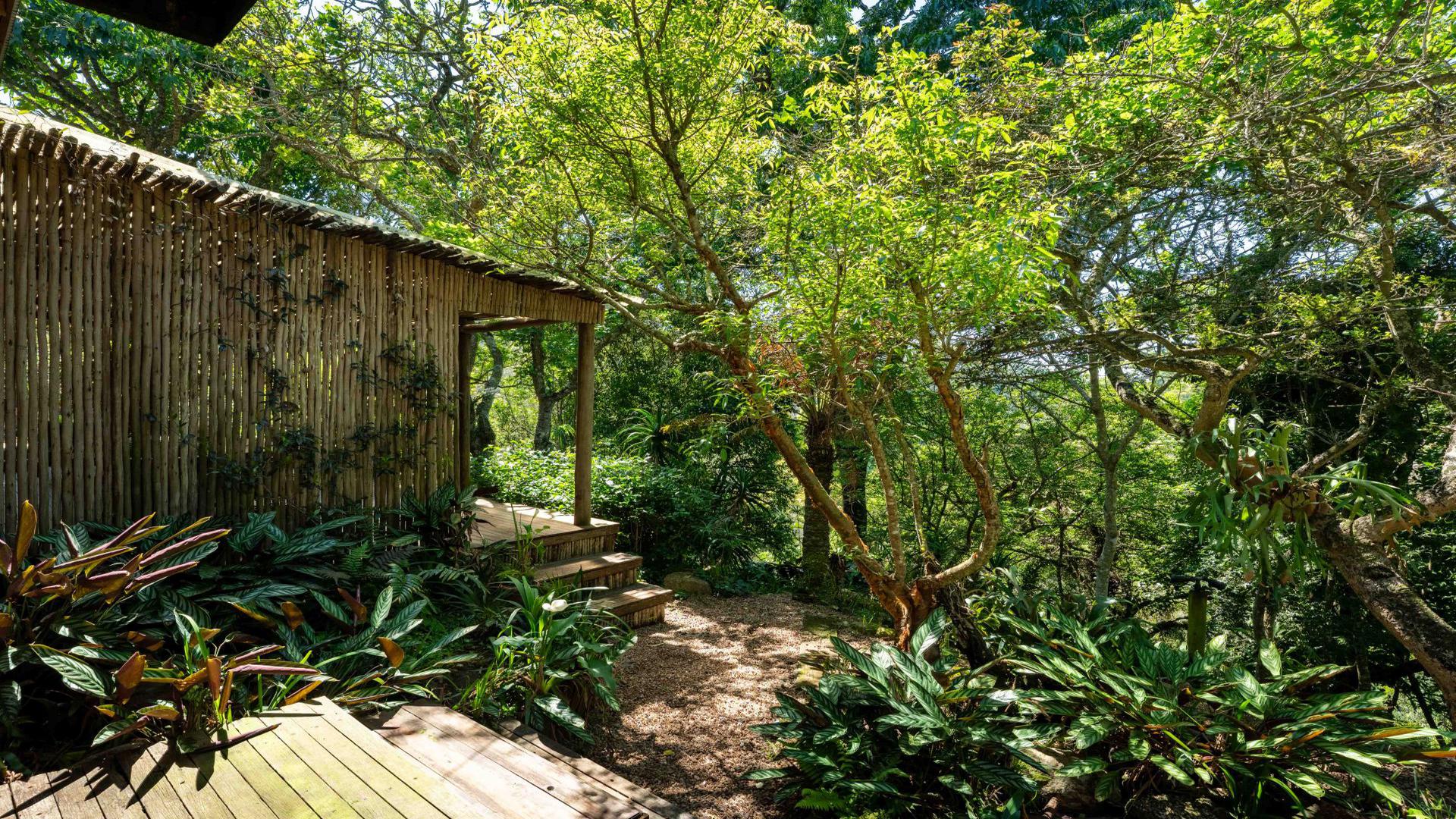 Backyard of property in Everton HC