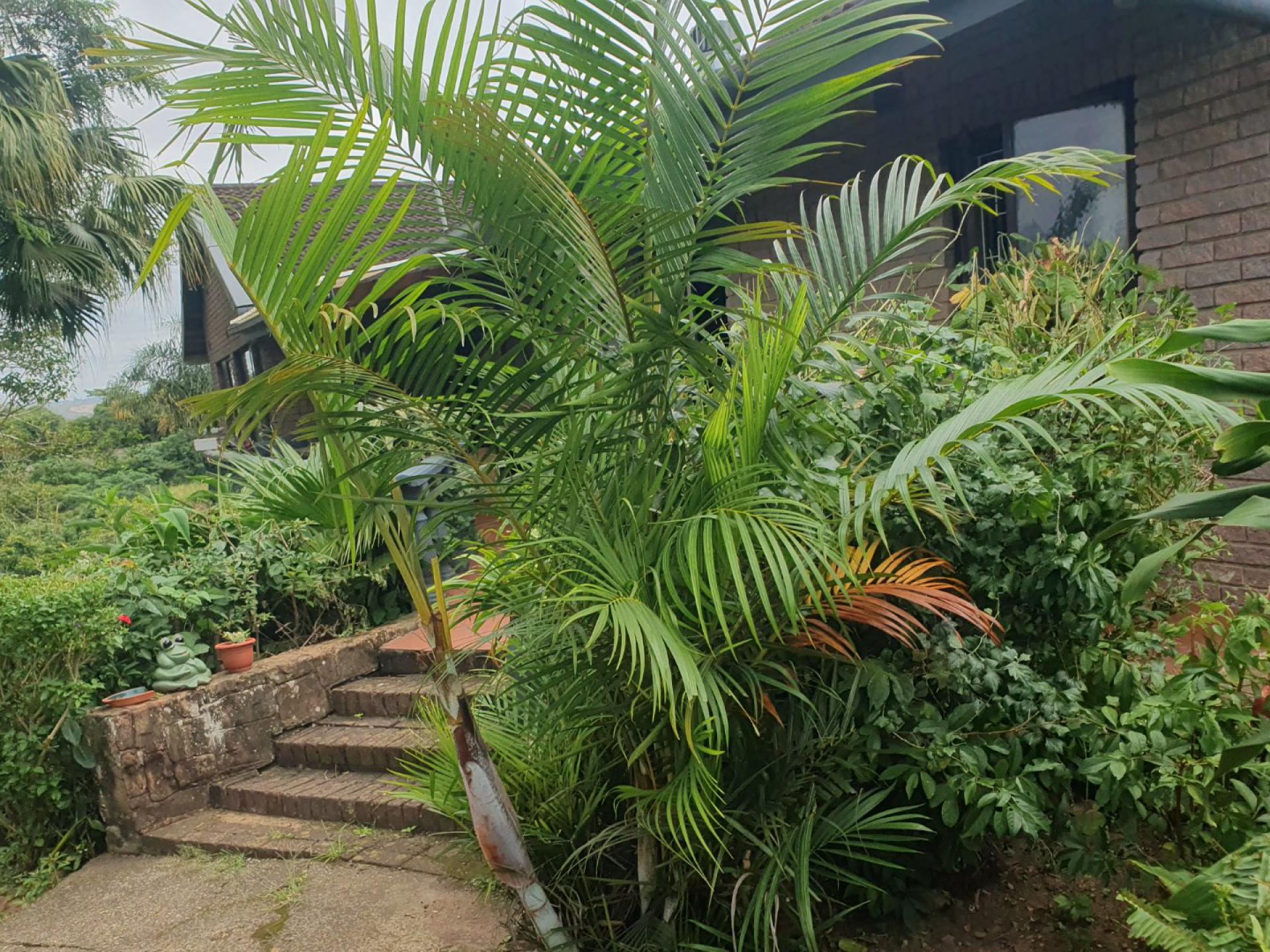  of property in Umtentweni