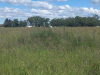 of property in Valley Settlement