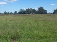  of property in Valley Settlement