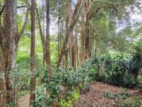  of property in Kloof 