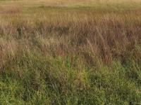  of property in Hendrina