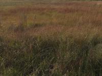  of property in Hendrina