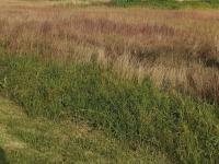  of property in Hendrina