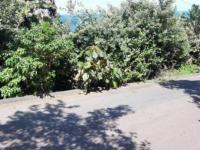 of property in Bluff