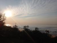  of property in Bluff