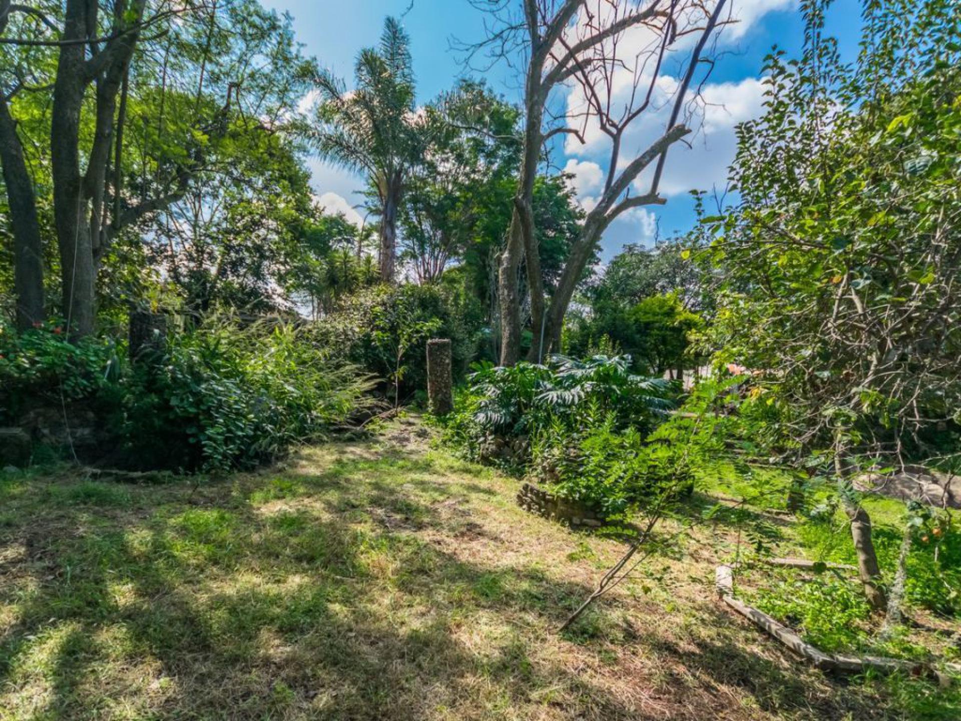  of property in Lyttelton Manor