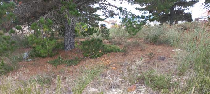 Land for Sale For Sale in Albertinia - MR676647