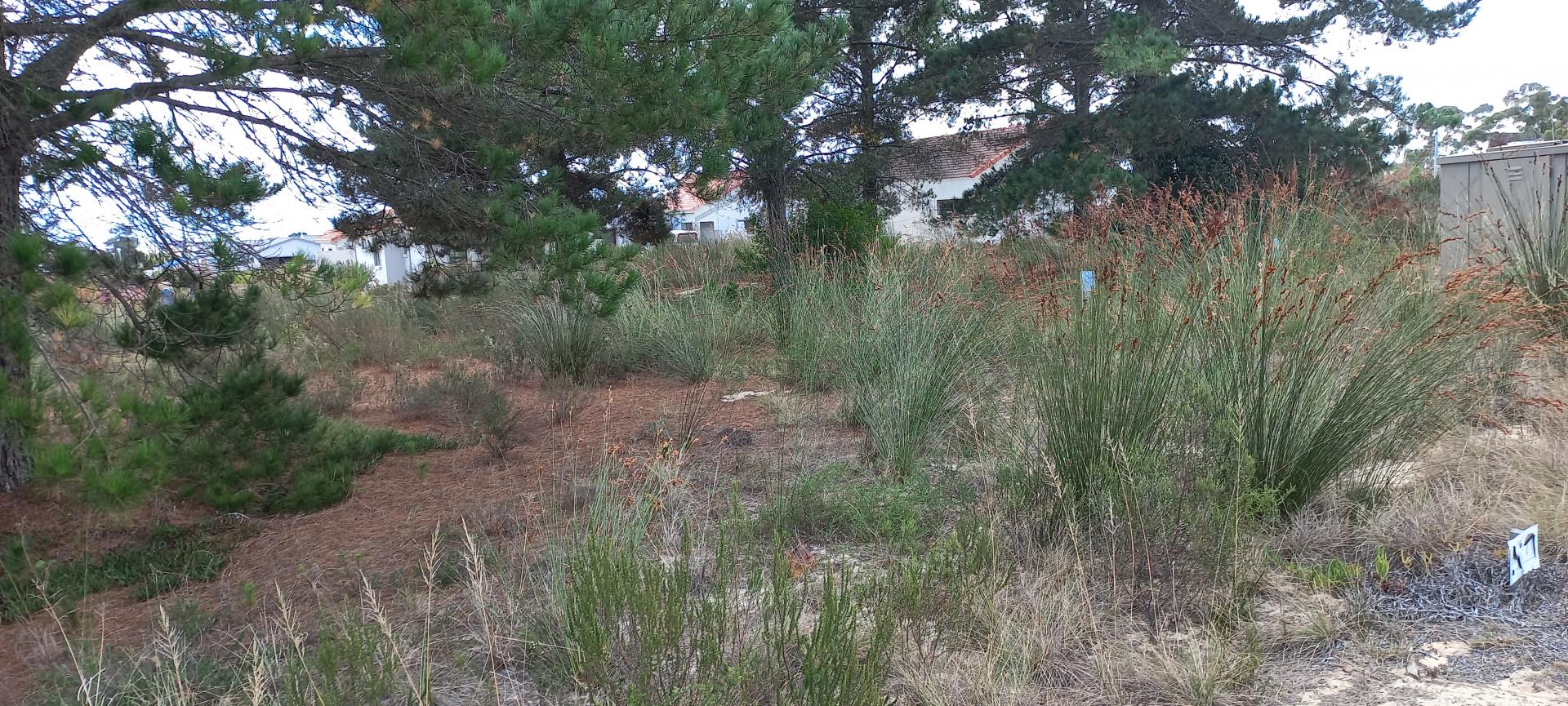  of property in Albertinia