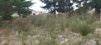  of property in Albertinia