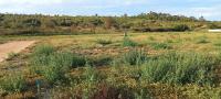  of property in Albertinia