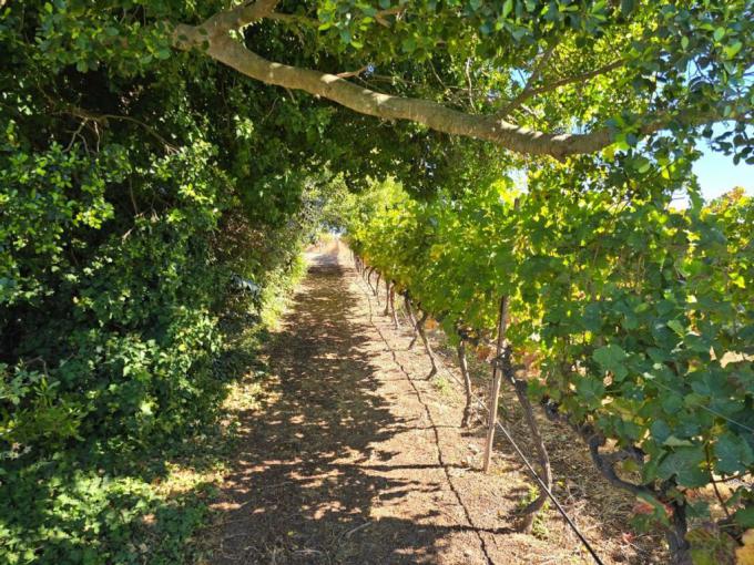 Smallholding for Sale For Sale in Raithby - MR676820