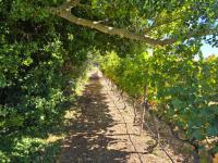  of property in Raithby
