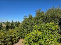  of property in Raithby