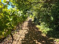  of property in Raithby