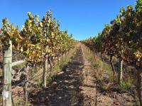  of property in Raithby