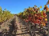  of property in Raithby
