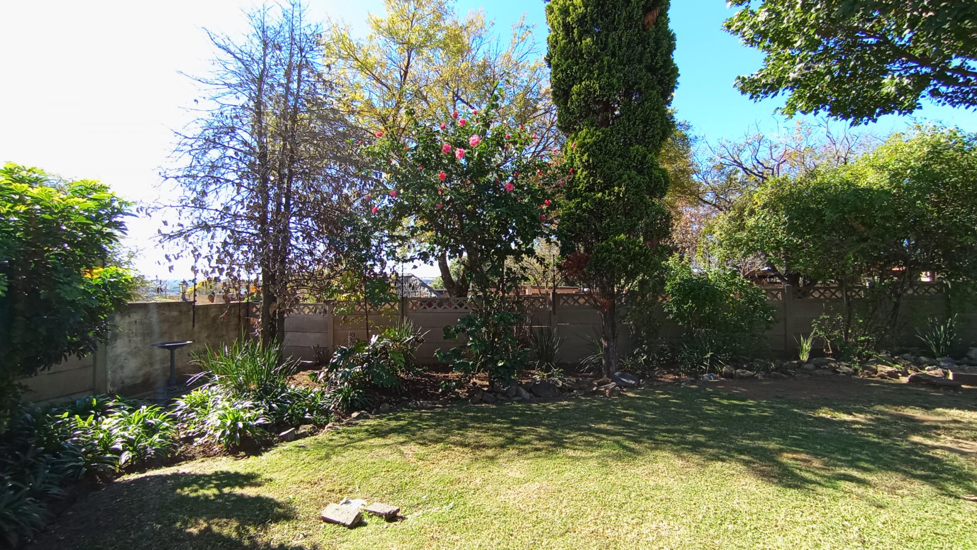 Garden of property in Illiondale
