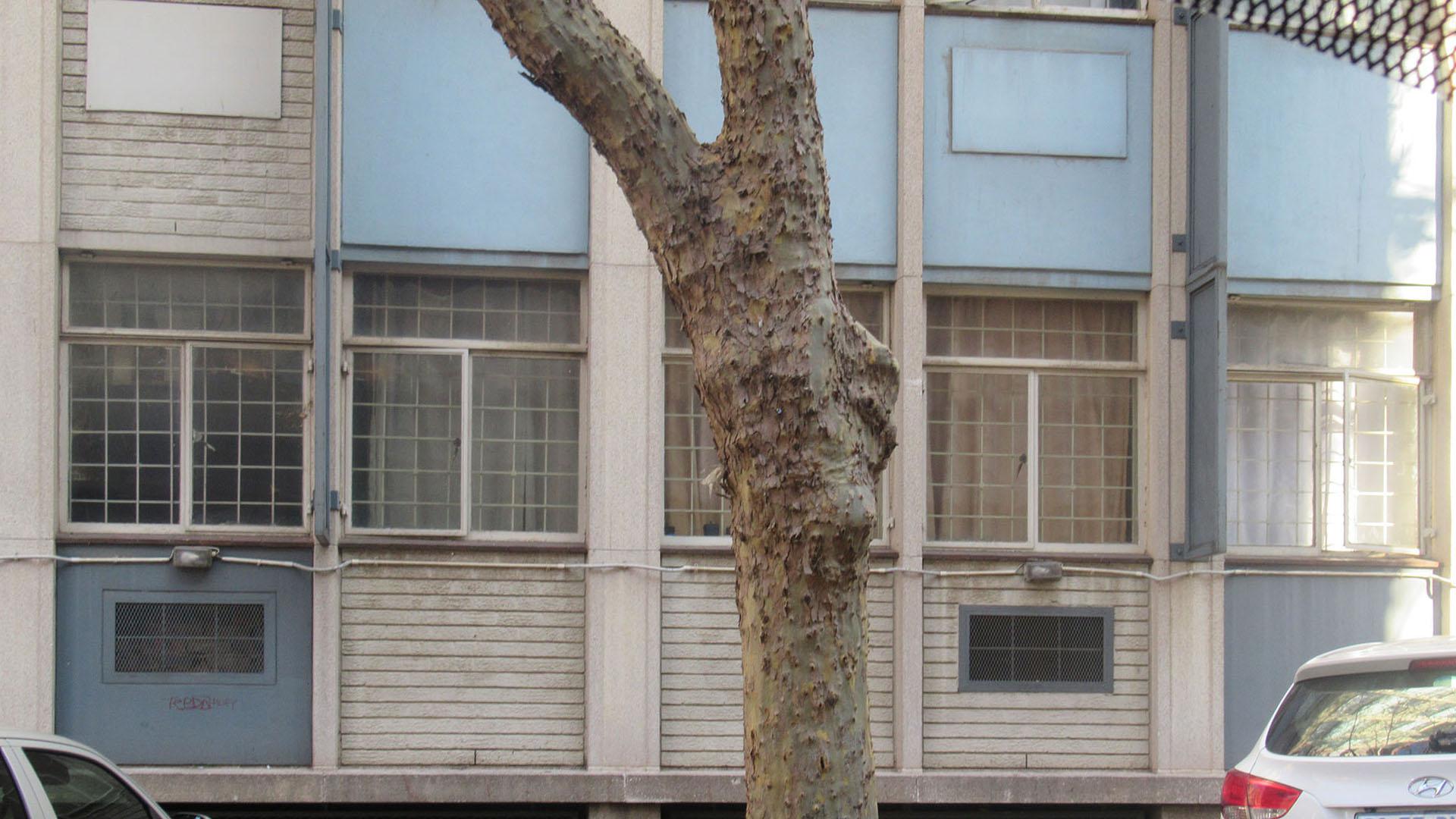 Front View of property in Braamfontein