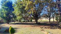 Backyard of property in Walkerville