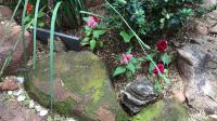 Garden of property in Walkerville