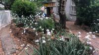 Garden of property in Walkerville
