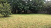 Garden of property in Walkerville