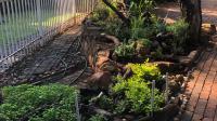 Garden of property in Walkerville