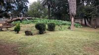 Garden of property in Walkerville