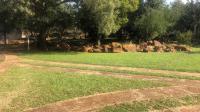 Garden of property in Walkerville