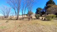 Garden of property in Walkerville