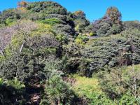  of property in Gillitts 