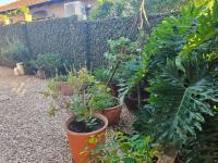  of property in Waterkloof (Rustenburg)