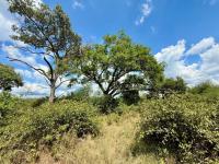  of property in Hoedspruit