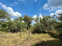  of property in Hoedspruit