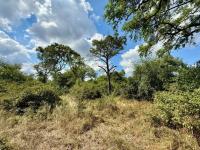 of property in Hoedspruit