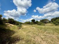  of property in Hoedspruit