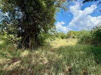  of property in Hoedspruit
