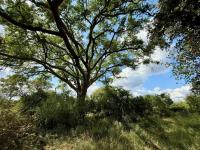  of property in Hoedspruit