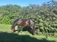  of property in Hawston