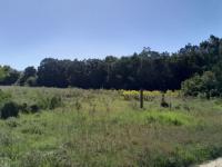  of property in Wittedrift