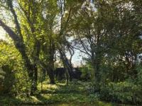  of property in Irene