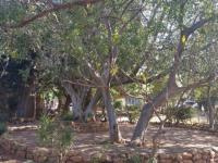  of property in Waterkloof (Rustenburg)