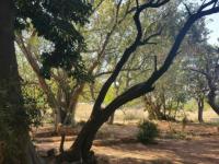  of property in Waterkloof (Rustenburg)