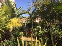  of property in Safarituine