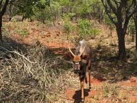  of property in Rustenburg