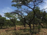  of property in Rustenburg