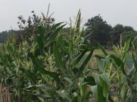  of property in Rustenburg